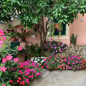 Orchidea Casa di campagna